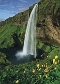 Cascade