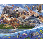 La migration des animaux