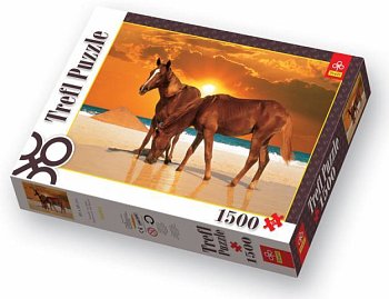 Chevaux sur la plage