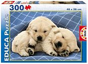 Chiots