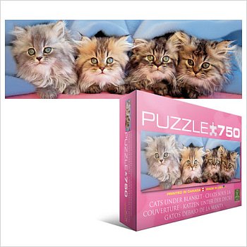 Kittens sous une couette