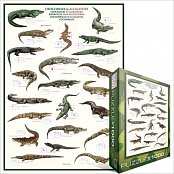 Lézards et alligators