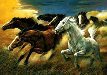 Sept chevaux sauvages