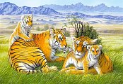Tigre rodinka
