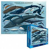 Baleines et les dauphins