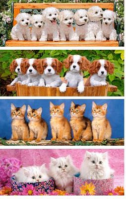 Chiens et chats