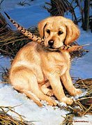 Chiot avec une plume