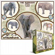 L'éléphant