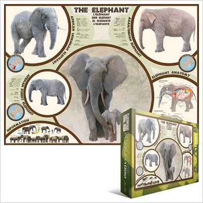 L'éléphant