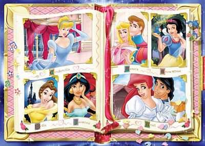 Le livre des princesses