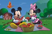 Mickey mouse sur un pique-nique