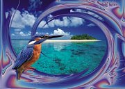 Oiseaux sur la plage