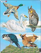Remplir les oiseaux