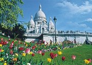 Sacré coeur