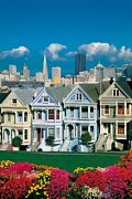 San francisco