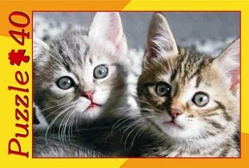 Chatons